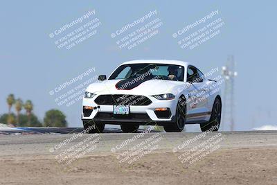 media/Oct-04-2025-OnGrid (Sat) [[44bd565ffa]]/Purple Group/Grapevine/